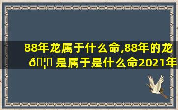 88年龙属于什么命,88年的龙 🦅 是属于是什么命2021年运势